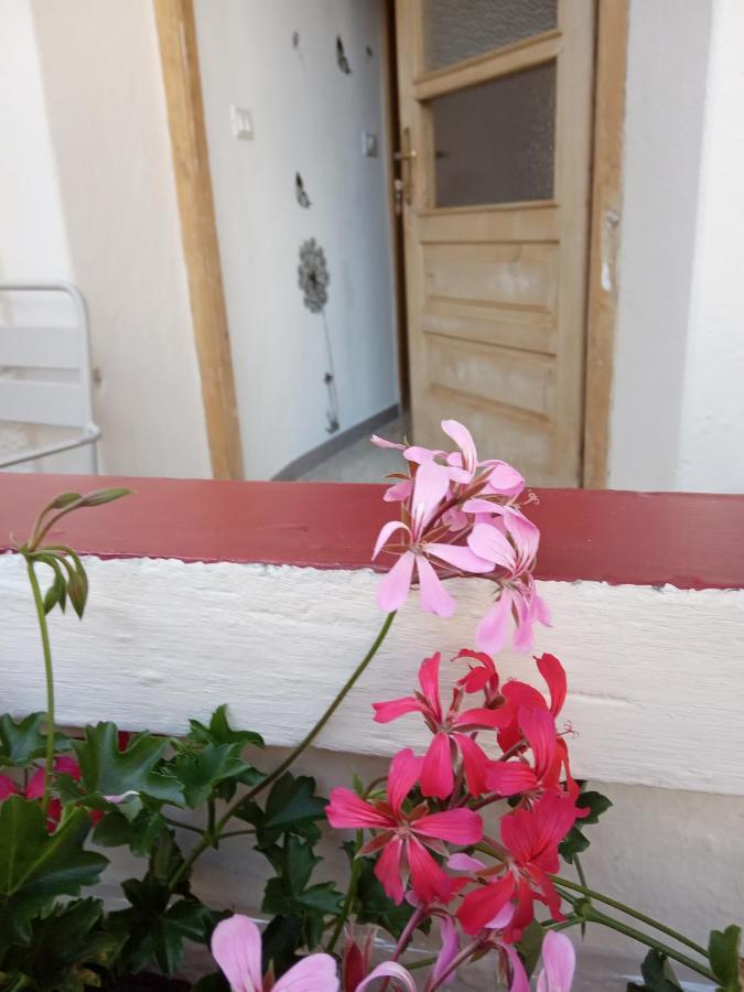 Apartmán Da Valentina Castelfondo Exteriér fotografie